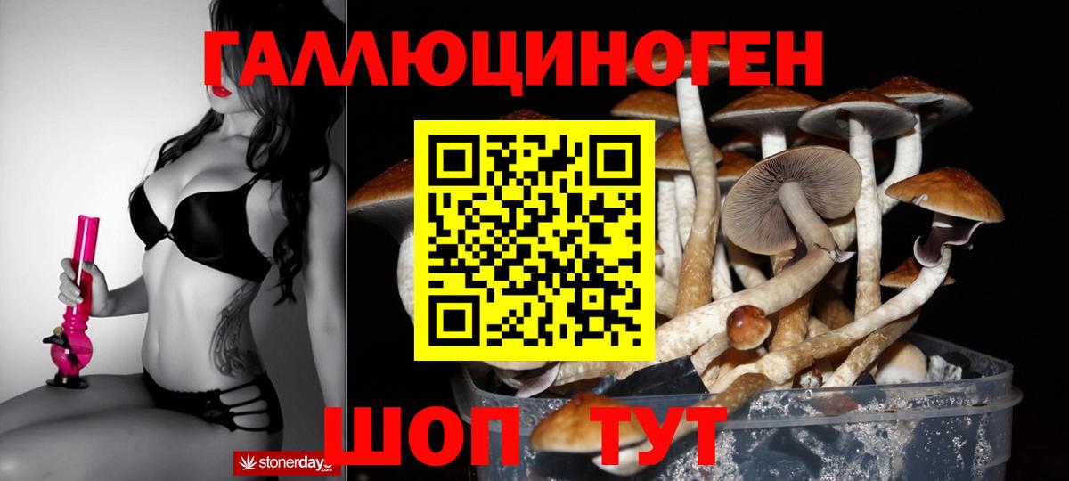 наркотики  Псилоцибиновые грибы Psilocybe  Галлюциногенные грибы ЛСД  Вход с VPN  Златоуст 